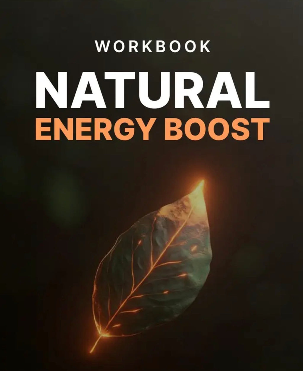 Natural Boost Energy Workbook